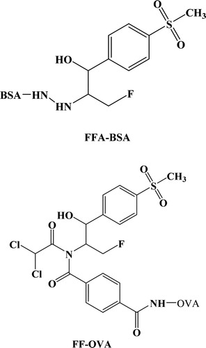 Figure 1. Structure of the immunogen and coating antigen (FFA-BSA and FF-OVA).
