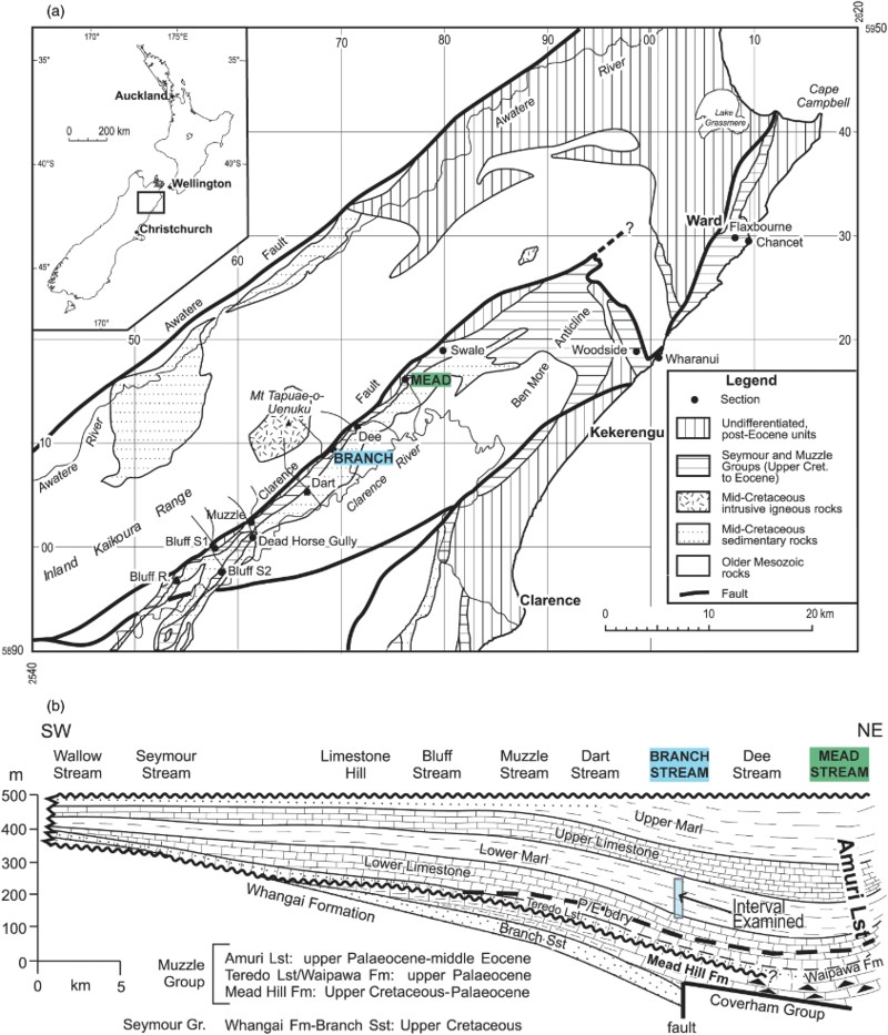 Figure 2 Location and relevant geology of the eastern Marlborough and Kaikoura districts. A, Map showing the general region and outcropping rocks surrounding the Clarence River and adjacent tributary streams (from Crampton et al. Citation2003). The New Zealand 1:50,000 topographic map P30 (Clarence, NZMS 260) serves as the basis for grid coordinates. Locations of Mead Stream and Branch Stream denoted by blue boxes. B, Schematic cross-section showing relative thicknesses of Muzzle Group rocks found along streams on the north side of Clarence River Valley (adapted from Reay Citation1993).