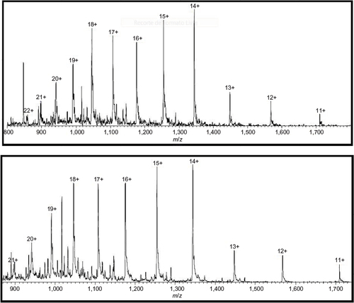 Figure 9 Spectra obtained of impurity peak (above) and the main filgrastim peak (below).