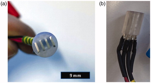 Figure 1. (a) The final version of the bioimpedance spectroscopy (BIS) probe head with four high-purity silver electrodes. The electrode contact areas are 4 mm × 0.6 mm. (b) The good mechanical and electrical stability of the BIS probe is assured with a 3D printed plastic frame that ensures 1 mm insulation layer between adjacent electrodes. The wires terminated to 4 mm banana sockets are directly soldered to the silver electrode plates.