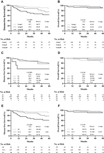 Figure 2 (A) DFS and (B) OS among the three clinical stages in the final cohort. (C) DFS and (D) OS among patients stratified by clinical tumour size in the final cohort. (E) DFS and (F) OS among patients stratified by lymph node status in the final cohort.