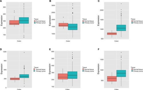 Figure 3 MERAV boxplots of expression of DCTN family in normal tissues and tumor-bearing tissues.Note: Boxplots are shown for the expression levels of (A) DCTN1; (B) DCTN2; (C) DCTN3; (D) DCTN4; (E) DCTN5; and (F) DCTN6.Abbreviations: DCTN, dynactin; MERAV, Metabolic gEne RApid Visualizer.