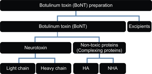 Figure 2 Contents of botulinum toxin preparation.