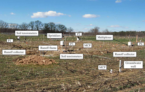 Fig. 2 Locations of four plots (P1–P4) and field-site experimental setup at the experimental site.