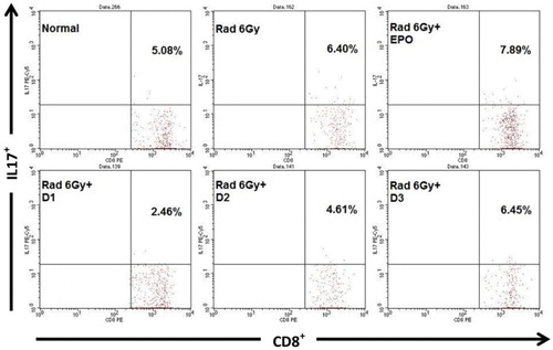 Figure 4. The effect of oral administration of EMSA Eritin in irradiated mice on the production of IL-17 cytokines by CD8T cells. IL-17 produced by CD8+ T cells (CD8+IL-17+) was presented as relative number. The data are mean ± SD in each group with p ≤ .05.