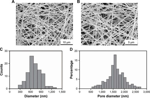 Figure 2 SEM micrographs of electrospun membranes with different magnifications (A and B); diameter and pore size distribution in ICA-loaded PCL–gelatin electrospun membranes (C and D).Abbreviations: ICA, icariin; PCL, polycaprolactone; SEM, scanning electron microscopy.