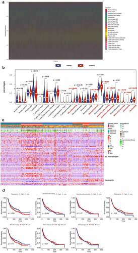 Figure 2. Immune Landscape Between Low and High Hypoxia Risk NSCLC Patients. (A) and (B) The 22 immune cells proportions obtained from 666 lung cancer patients in GEO databases; (C) Rows of the heatmap show expression of TME-infiltrating cell signatures calculated by xCell; (D) Kaplan-Meier plots of infiltrating immune cells with differential expression as described above