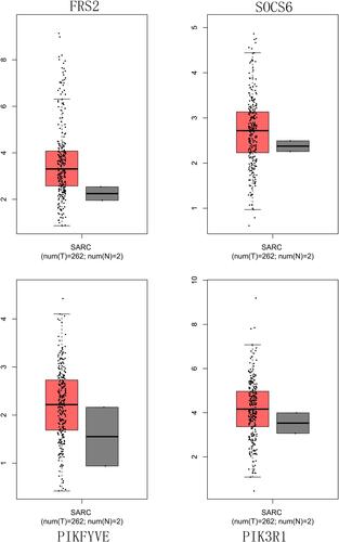 Figure 7 FRS2, PIKFYVE, PIK3R1 and SOCS6 expressions in the TCGA database in OS and healthy tissues.