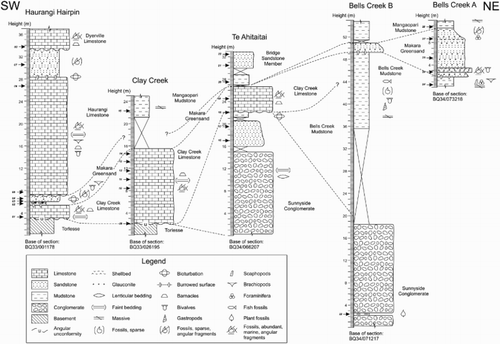 Figure 3. Sections measured during field study, showing sample heights and correlations across the study area.