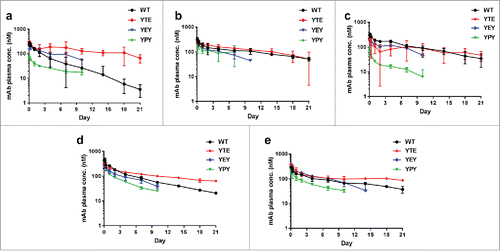 Figure 3. Plasma or serum concentration-time profiles of pH-dependent antigen binding antibodies in WT, YTE, YEY, and YPY Fc variants in cynomolgus monkeys. The anti-PCSK9 mAb A (a), mAb B (b), and mAb C (c), and anti-CTGF mAb D (d) and mAb E (e) were administered intravenously at single dose of 1.5 mg/kg. Each data point represents the mean ± s.d. (n = 3 each). For the YEY and YPY variants, only data points up to 10 or 14 d are shown due to significant drop in measurable concentrations.