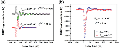Figure 4. (a) TRKR signals at an excitation energy of 3.402 and 3.573 eV, corresponding to the electron spin relaxation in the bulk GaN buffer layer and the Al0.1Ga0.9N barrier. (b) TRKR signals at an excitation energy of 3.513 eV, corresponding to the spin relaxation of two-dimensional electron gas in the GaN quantum well [Citation69].
