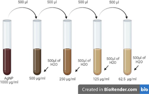 Figure 1. (2-fold dilution method) using serial dilution.