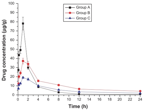 Figure 8 Drug concentration–time curve of the muscle (Group A: intragastric ligustrazine; Group B: transdermal ligustrazine ethosome patch; Group C: conventional transdermal ligustrazine patch).