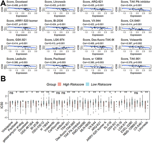 Figure 7 Investigation of the possible sensitivity to therapeutic drugs. (A) The top 16 most significant tumor-sensitive medications target the signature. (B) Differential analysis of the IC50 of tumor-sensitive drugs. ns, not significant; *p < 0.05; **p <0.01; ***p < 0.001.