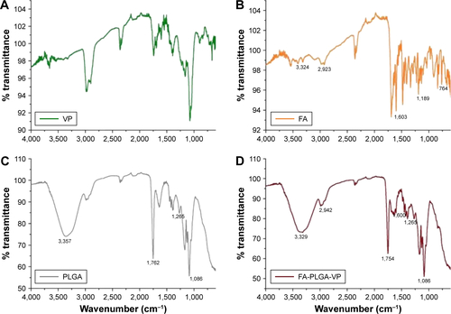 Figure S4 FTIR spectra corresponding to VP (A), FA (B), PLGA (C) and FA-PLGA-VP (D).Abbreviations: FA, folic acid; FTIR, Fourier transform infrared; PLGA, poly(D,L-lactide-co-glycolic acid); VP, verteporfin.