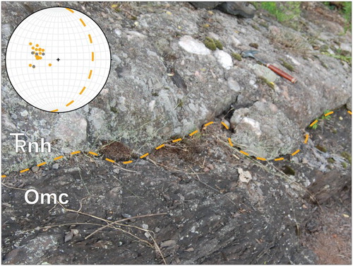 Plate 1. Triassic nonconformity. Where this surface is exposed in New Haven quadrangle, the basal conglomerate (nh) overlies epidote-pod, chlorite schist (Omc). In this northwest-facing image, the nonconformable surface (dashed line) has an eastward dip (hammer for scale). The inset stereonet shows poles to the nonconformable surface (yellow circles, n = 23). The surface, though irregular, has a mean orientation of ∼010/35 (dashed line). The exposure of this nonconformity has the same orientation as the contemporaneous surface exposed in Roaring Brook (gray circles, n = 4).