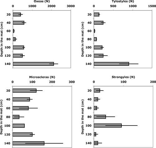 Figure 4. Vertical trends of concentration per g of sediment of different spicule types. A, oxeas; B, tylostyles; C, microscleres, D, strongyles.