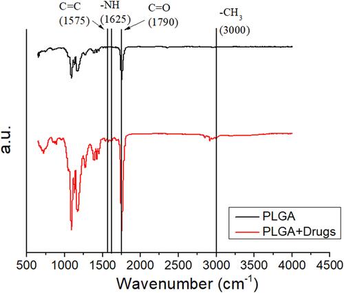 Figure 3 FTIR spectra of electrospun pure PLGA and drugs/hEGF-loaded PLGA nanofibers.