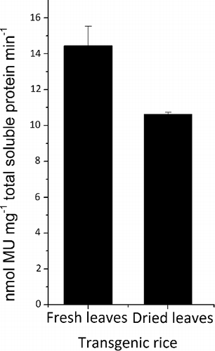 Figure 5. Stability of E1 in rice leaves upon storage.