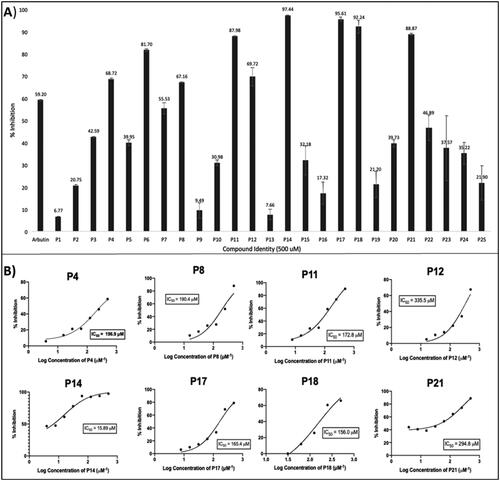 Figure 4. The mushroom tyrosinase inhibition screen of pyrazoles, pyrazolones, and isoxazoles P1–P25 identified several relatively active tyrosinase inhibitors (P4, P8, P11, P12, P14, P17, P18, and P21). (A) Initial single-concentration tyrosinase inhibition screening for derivatives P1–P25, with arbutin as a positive control. Ten compounds at a fixed concentration of 500 µM showed comparable or better percentage activity than arbutin. Data are expressed as mean ± SD from at least six independent experiments performed in triplicate. (B) Response vs. concentration curves for the above-listed potent pyrazole and pyrazolone compounds, with calculated 50% inhibitory activity (IC50) values. Data are expressed as mean ± SD from at least six independent experiments performed in quadruplicate.