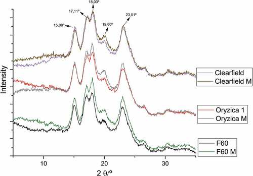 Figure 2. X-ray diffraction patterns of NS and MS.