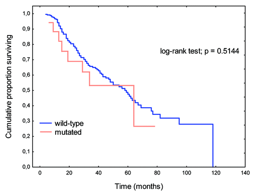 Figure 3. OS rates in patients with B-Raf gene mutations relative to those with wild-type gene.