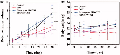 Figure 4. (a) Tumor volume change profiles and (b) body weight changes of tumor-bearing mice (n = 3) as a function of time post-treatment.