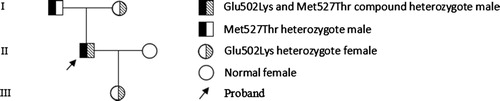 Figure 1. The family tree of the inherited coagulation FXII deficiency.