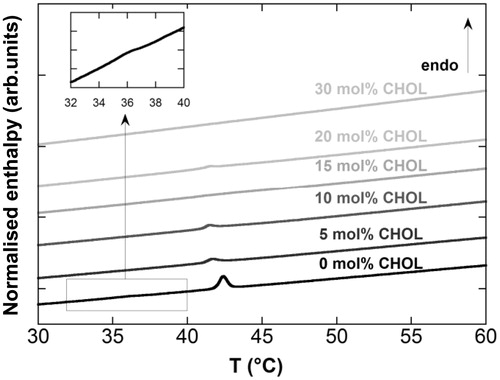 Figure 3. DSC thermograms obtained from liposomes made of DPPC/CHOL/DSPE-PEG2000 upon heating at 5 °C/min according to CHOL mol%.