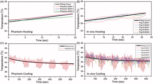 Figure 8. The fitting curve for heating and cooling period in phantom and pig experiment. The black thick line is the overall fitting curve across all datasets, whereas the thin colored curves are raw temperature measurements from MR thermometry. A, B and C, D are for heating and cooling period respectively. The fitting coefficients were acquired based on the accurate temperature measurements during breath hold.