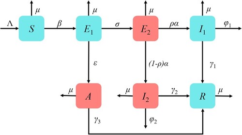 Figure 1. Flow chart of the COVID-19 transmission dynamic model containing seven compartments. The compartments represented by the red box are infectious, and the compartments represented by the blue box are not infectious.