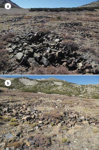 Figure 7. Types of patterned ground in study area. (a) Unsorted circles in the upper portion of the study area. Rock wells are mostly discontinuous and do not always surround soil circles. View westward to the rock rampart, snowbed slope, and ribbon forest. (b) Sorted circles in the lower portion of the study area. Rock domains border the soils circles and are mostly continuous with other rock domains across the slope. View northward.