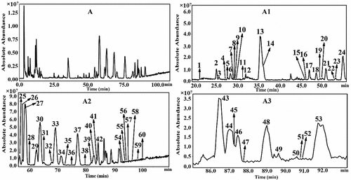 Figure 2. The total ion chromatography of Jilin ginseng roots and rhizomes in negative ion detection mode (A) and its corresponding amplified chromatograms (A1, A2, A3) (H. P. Wang et al., Citation2016).