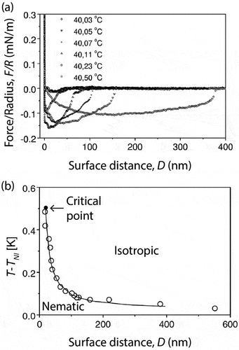 Figure 7. (a) Colloidal-probe AFM measurements of the normal force F measured for isotropic 5CB confined between a colloidal probe with radius R ≈10 μm and a glass substrate at a distance D apart. The probe and substrate were coated with DMOAP to induce homeotropic anchoring. (b) Distance-temperature phase diagram showing capillary condensation as an isotropic-nematic transition line ending in a critical point. Reprinted figure with permission from [Citation72]. Copyright 2001 by the American Physical Society.