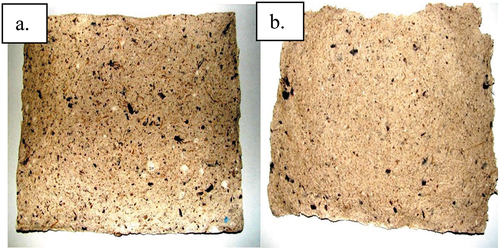 Figure 2. HMP from coffee pulp fibers 2a. Denoting 25% coffee pulp with 75% other waste fibers and papers and 2b. indicating 50% coffee pulp paper with 50% other waste fibers and papers (Aguilar-Rivera et al. Citation2014).