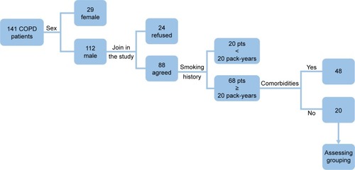 Figure 1 Flowchart of selected 20 COPD patients.