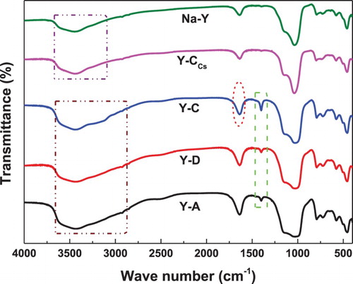 Figure 4. The FT-IR spectra of Na-Y, Y-A, Y-C, Y-CCs and Y-D catalysts.