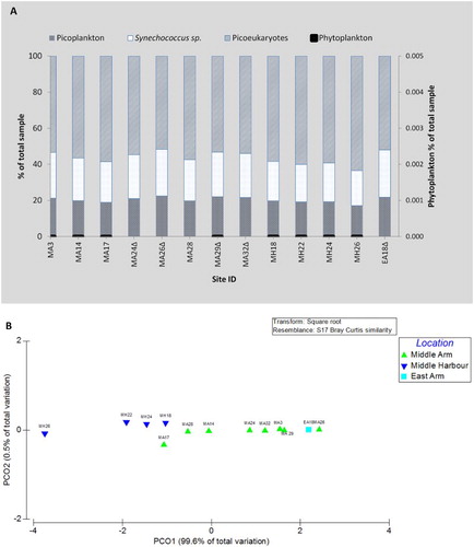 Figure 5. A, Picoplankton and phytoplankton cell counts expressed as percentage versus sites sampled. The triangle (Δ) indicates high density of particulates in the sample, obscuring phytoplankton. B, A principle component analysis for the picoplankton community distribution in PRIMER.