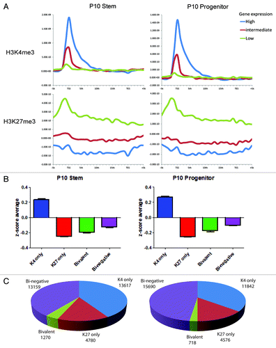 Figure 3. (A) Histone mark enrichment by gene expression patterns in P10. Gene expression patterns were divided into high (top 2,000 genes), intermediate (medium 2000 genes), and low (bottom 2000 genes). (B) Categories of promoter histone marks (K4 only, K27 only, bivalent and none) and associated gene expression levels. (C) Numbers of the genes with respective histone status. Gene expression data was taken from GEO data set GSE24006.
