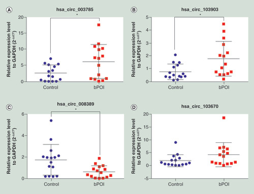 Figure 2. Comparison of the expression of circular RNAs between patients with biochemical premature ovarian insufficiency and controls using quantitative real-time PCR. (A) has_circ_003785 (B) has_circ_103903 (C) has_circ_008389 (D) has_circ_103670. *p < 0.05.bPOI: Biochemical premature ovarian insufficiency.
