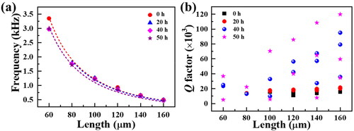 Figure 2. Dependences of (a) resonance frequencies and (b) Q factors of the SCD cantilevers under the etching treatment with various durations on the cantilever length L.