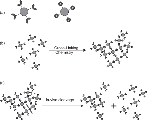 Figure 1 Schematic of core particles bearing ligands (a); agglomeration of core particles by linkers to form agglomerates (b); based on the linker chemistry some can be cleaved in-vivo by components of lung fluid (c).