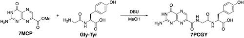 Figure 2. Synthesis of N-(pterin-7-carbonyl)glycyl-L-tyrosine (7PCGY).