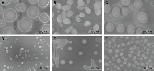 Figure 1 SEM photographs of drug-loaded nanoparticles.Notes: (A) DOX-GCS7.4-CMβ-CD NPs, (B) DOX-GCS13.0-CMβ-CD NPs, (C) DOX-GCS23.3-CMβ-CD NPs, (D) GCS7.4-CMβ-CD NPs, (E) GCS13.0-CMβ-CD NPs, and (F) GCS23.3-CMβ-CD NPs.Abbreviations: SEM, scanning electron microscope; DOX, doxorubicin hydrochloride; GCS, glycol chitosan; CMβ-CD, carboxymethyl–β-cyclodextrin; NPs, nanoparticles.