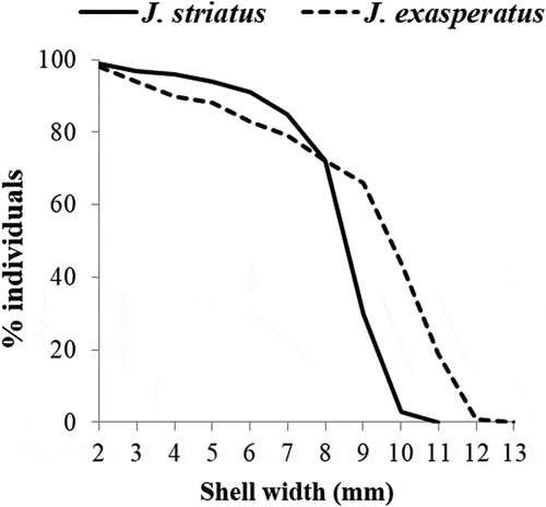 Figure 6. Survivorship curves for Jujubinus striatus and Jujubinus exasperatus, derived from size–frequency distribution of measured shells collected at all depths in 1 year of sampling (July 1981–June 1982).