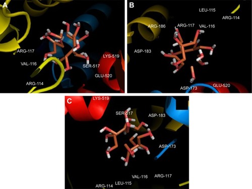 Figure 9 Different views (A–C) of the ligand and its surrounding site residues.