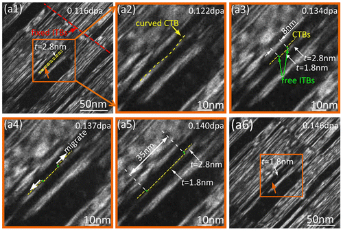 Figure 6. A series of dark-field (DF) TEM snapshots of ion-irradiated Cu film were captured over a dose range of 0.116–0.146 dpa. (a1–a6) show that the interstitial loops were captured by the CTBs of a fixed twin lamella with twin thickness of ~2.8 nm and then the twin thickness decreases to ~1.8 nm. CTBs and fixed ITBs are labeled by yellow and red lines in (a1). (a2–a5) and are the enlarged images of the region labeled by the orange box in (a1), showing the decrease process of twin thickness (t). (a6) shows a DF TEM image of the twin lamella at the dose of 0.146 dpa. Compared with Figure 6 (a1), the thickness of part of twin lamella obviously decreases from 2.8 nm to 1.8 nm (about 35 nm wide in the whole twin lamella), leading to the thinning of twin lamella. The figures without any annotations and optional lines are listed as the supplementary material.