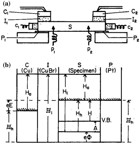 Figure 11. (a) Schematic of the arrangement used for mixed conductivity measurements; I: ionic conductor, S: sample, P: platinum, C: copper or silver; and (b) schematic energy diagram of the Pt/sample/Cu or Ag galvanic cell. Reproduced with permission from [Citation53].