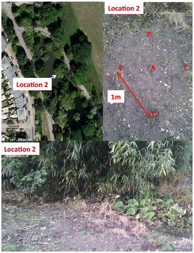 Figure 3. Overview of Location 2.
