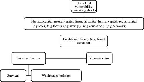 Figure 2. The Sustainable Livelihood Framework showing the linkage between household assets and livelihood strategies. Source: Adopted from the Sustainable Livelihood Framework (Nguyen et al. Citation2015).